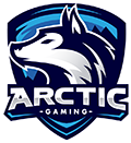 Logo Arctic Gaming