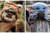 Star Wars: 'Los ewoks son más adorables que Baby Yoda', dice Warwick Davis
