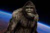 Ha pillado Google Earth a un Bigfoot? Internet se vuelve loca con esta imagen