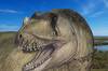 El dinosaurio que fue olvidado por la historia durante aos resurge en un descubrimiento que cambia la paleontologa