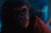 Ya hemos visto 'Primate' y el director del reinicio fallido de Resident Evil firma un terror perfecto con gore y un mono asesino