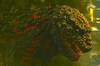 El mejor Godzilla de la historia vuelve al cine tras 10 a�os: la secuela ya estar�a en marcha y Jap�n apuesta por el terror