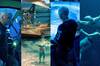 Avatar 2: James Cameron comparte nuevas imágenes y artes de la esperada secuela