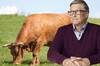 Bill Gates: 'Las naciones ricas deberían comenzar a comer carne sintética'