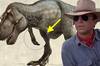 El misterio del 'Tyrannosaurus rex' que desconcierta a los paleontlogos