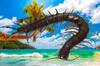 Descubren un ciempiés anfibio gigante en el archipiélago japonés