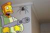 Un australiano convive con una araña gigante durante un año y explica sus motivos