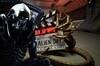 La serie y la pelcula de 'Alien' muestran imgenes, artes y detalles de sus tramas