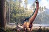 Paleontlogos descubren el fsil de un titanosaurio de 16 metros de largo que solo se encontraba en Uruguay