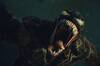 Sony rompe su silencio y desvela por qu� adelant� el estreno de 'Venom 3' en cines, y es por un buen motivo