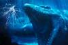 'Jurassic World 4' comienza a dar pistas de su trama gracias a los lugares de rodaje del esperado film con dinosaurios