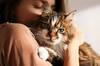 Los veterinarios coinciden: tener un gato en casa reduce hasta un 30% la probabilidad de sufrir un infarto