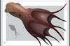 Cient�ficos at�nitos encuentran un pulpo gigante de 18 metros de largo que domin� los mares hace m�s de 70 millones de a�os