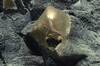 Estados Unidos resuelve el misterio de la esfera dorada que apareci� en el fondo del mar de Alaska a m�s de 3.000 metros