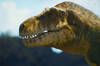 ¿Cuántos Tiranosaurios rex habitaron la Tierra? Un nuevo estudio arroja la cifra exacta