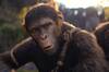 'El reino del planeta de los simios' arrasa en la taquilla durante su estreno y 'El especialista' intenta suavizar su fracaso