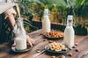 Espa�a marca las normas: las bebidas vegetales arrasan en cafeter�as y restaurantes, creciendo un 20 % en 2025