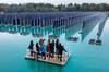 Alemania da una lecci�n a Espa�a: crea una planta de 2500 placas solares flotantes que produce energ�a cuando m�s se consume