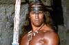 Ya es oficial: Arnold Schwarzenegger confirma su regreso como Conan en una secuela directa de las pel�culas de los 80