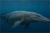 Marruecos desaf�a las normas: desentierra a un superdeprador marino de 66 millones de a�os que cambia el equilibrio natural