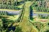 Ya es oficial: China construye 'un puente biol�gico' de 240 metros, cruzar� un canal y ser� solo para animales salvajes