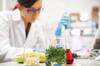 Espa�a endurece las normas: aumentan los controles de calidad y productos alimentarios de origen animal y vegetal en fronteras