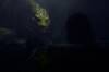 Hoy en Netflix el live-action m�s oscuro del nuevo director de 'El Se�or de los Anillos': 104 minutos que reinventan un cl�sico