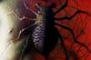 Es oficial: Spider-Man se pasa al terror m�s oscuro con una nueva historia que promete cambiar al personaje de Marvel
