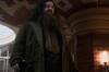 Nick Frost, actor: 'He intentado honrar al Hagrid de las pel�culas de Harry Potter, pero mi versi�n ser� diferente'
