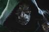 Confirmado por Robert Downey Jr: 'Avengers Doomsday' renuncia al pasado de Marvel y devuelve el UCM a su 'fase cero'