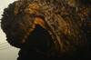 Triler de 'Godzilla Minus One', la nueva y pica pelcula japonesa del rey de los monstruos