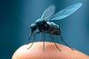 Parece ciencia ficcin: alarma y preocupacin ante el microdrn de China 'como un mosquito' que destroza el equilibrio militar