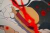 Escena hist�rica de 'One Piece': el anime desata el poder del Gear 5 y muestra la poderosa transformaci�n de forma �pica