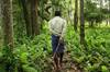 Un hombre plant� miles de �rboles durante 40 a�os: fren� un des�rtico banco de arena y cre� un 'bosque infinito' con animales
