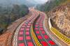 Este pa�s pinta sus carreteras de rojo por una raz�n de peso: quiere acabar con los accidentes con animales de un plumazo