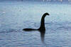 Arranca la mayor búsqueda de la historia para confirmar definitivamente si el Monstruo del Lago Ness existe o no