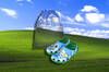 Las Crocs inspiradas en Windows XP ya son una realidad y Microsoft te permitir comprarlas 'pronto'