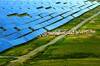 China plant� 6 millones de placas solares en el desierto: tras 10 a�os, est� 'verde' y es la granja solar m�s grande del planeta