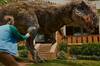 Es oficial: la nueva pel�cula de dinosaurios considerada 'mejor que las �ltimas Jurassic Park' va a arrasar la taquilla