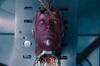 Robert Downey Jr. (61), sobre la serie que lo mantuvo ligado al UCM: 'Fue lo �nico que me enganch�, lo hicieron genial'