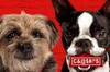 'Vida perra', la nueva comedia de Will Ferrell y Jamie Foxx, presenta un clip exclusivo en Vandal