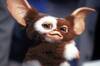 Malas noticias: el guionista de 'Gremlins' revela por qu la tercera pelcula sigue sin estrenarse en cines
