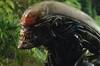 'Alien: Planeta Tierra' rompe con todo y presenta un giro nunca visto en la saga de ciencia ficcin: 'Es el mayor riesgo'