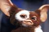 Ya es oficial: la nueva pel�cula 'Gremlins 3' confirma su fecha de estreno con un nuevo vistazo a Gizmo en un tr�iler prometedor