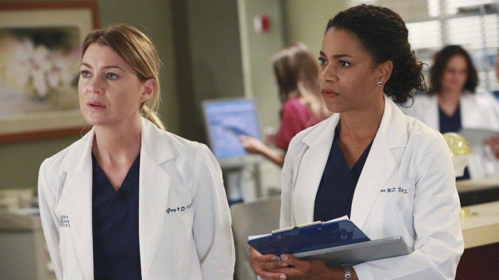 Anatomia De Grey Temporada 17 Episodio 13