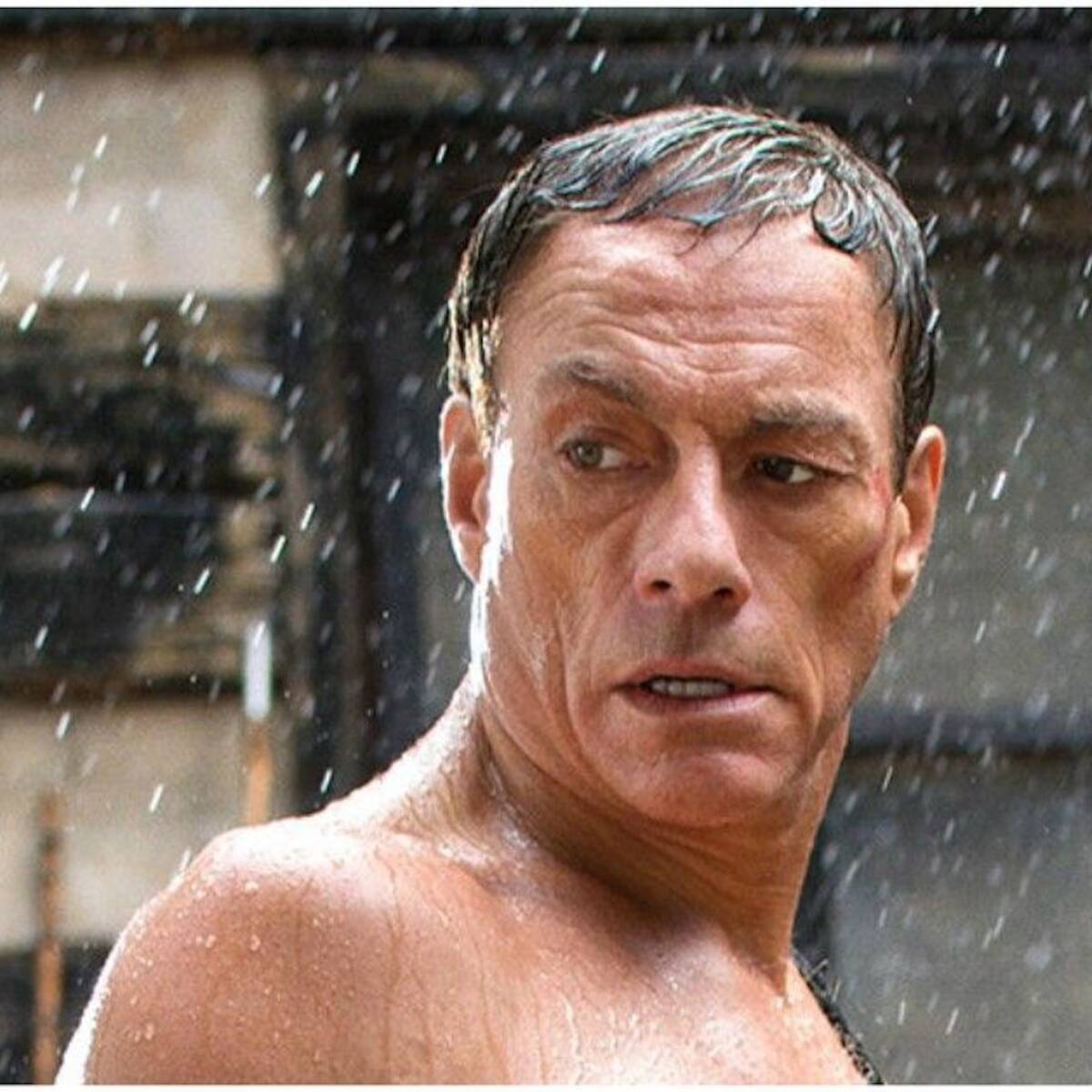 Jean-Claude Van Damme regresará al cine con una secuela de una de sus  películas más criticadas - Vandal Random