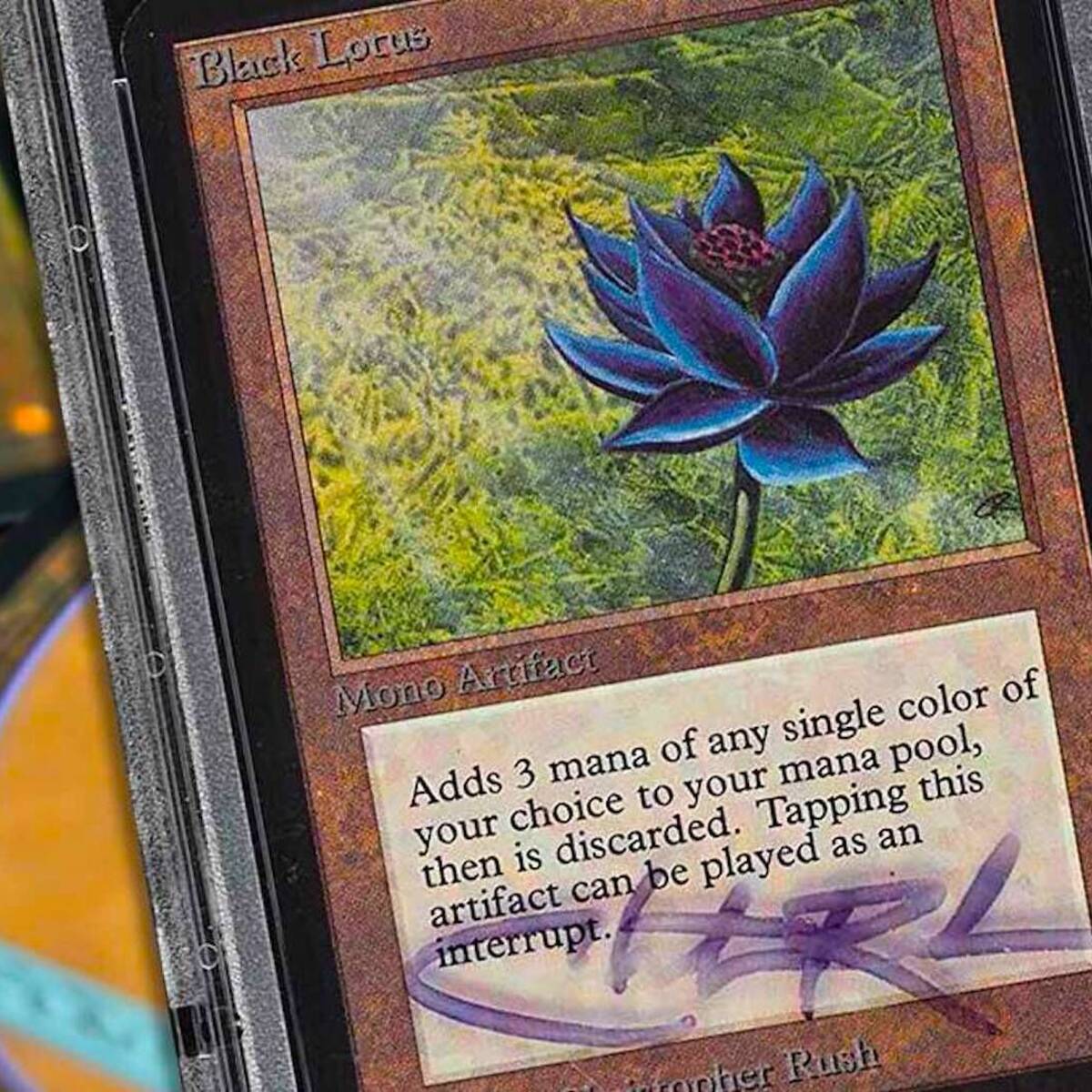 acoplador Machu Picchu jugo Una nueva Black Lotus firmada puede ser la carta más cara de la historia de  Magic y su subasta levanta expectación - Vandal Random