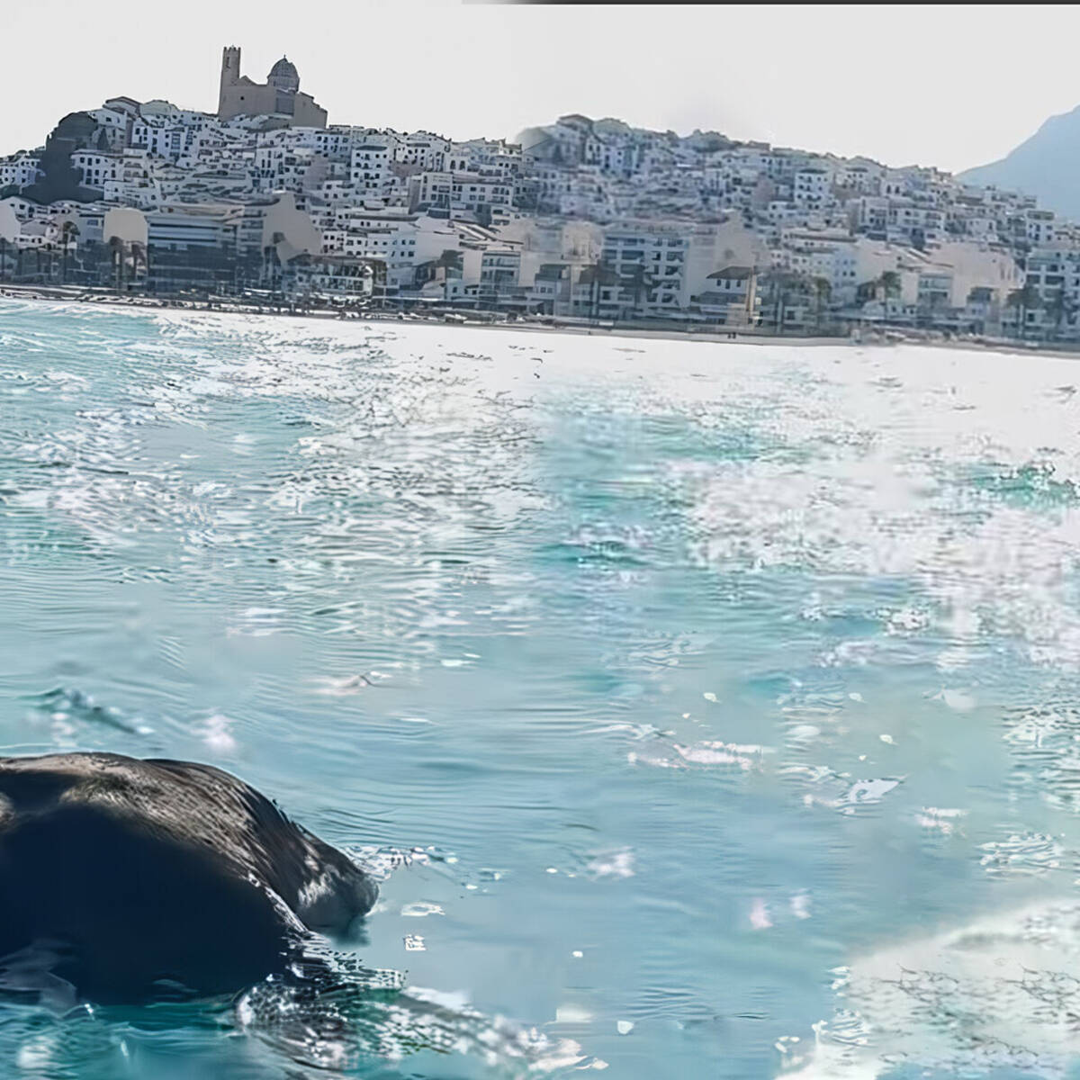 ruks khandagale seductive gaze