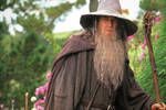 Gandalf no fue el �nico mago que cambi� de color en 'El Se�or de los Anillos', pero las pel�culas no lo mostraron