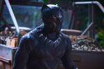 El supuesto nuevo Black Panther habla sobre su debut en el UCM: 'He de decir que me encanta esa pel�cula'